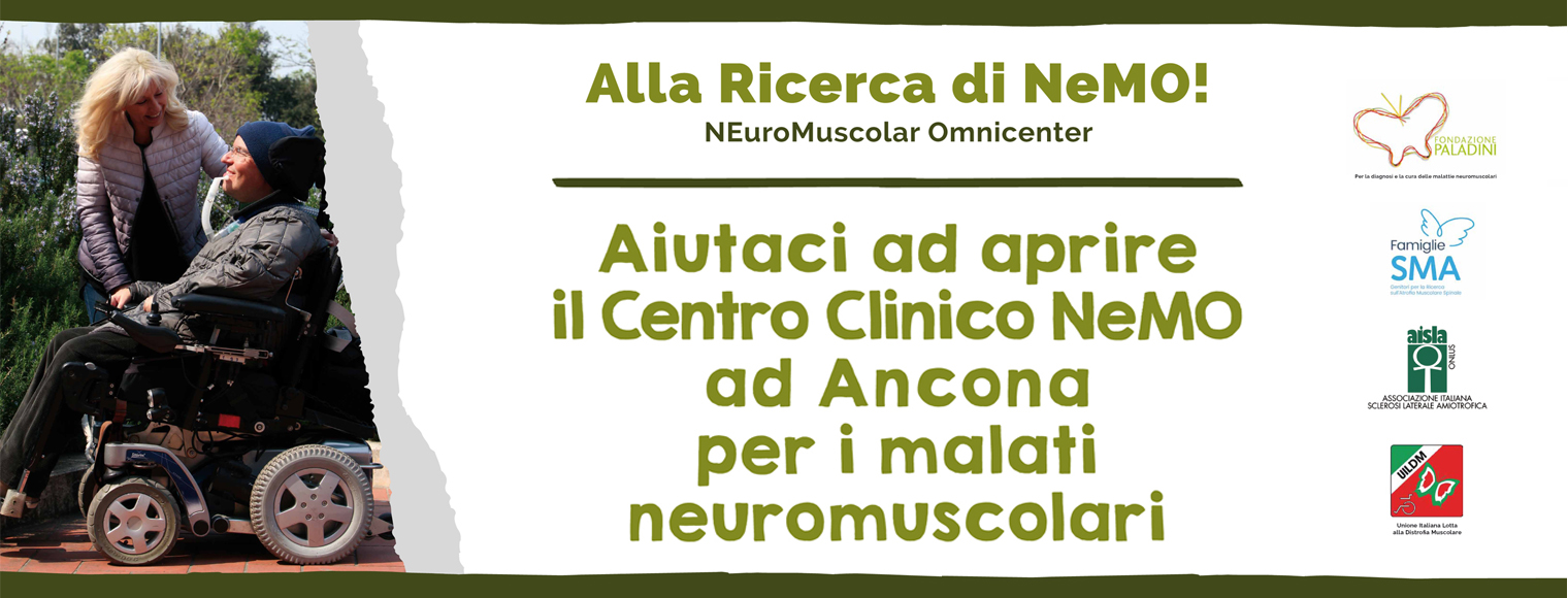 paladini-banner-sito-OK